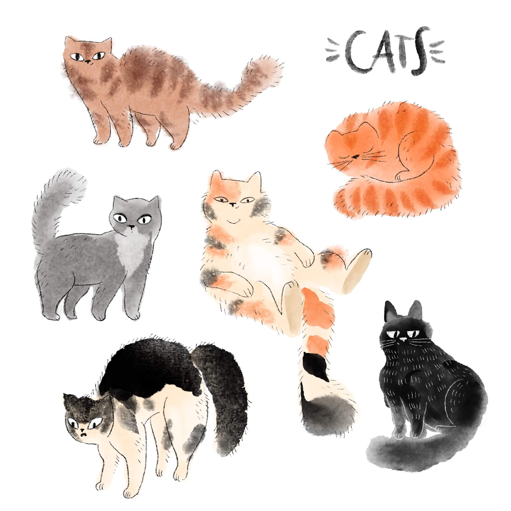 just a bunch of cats