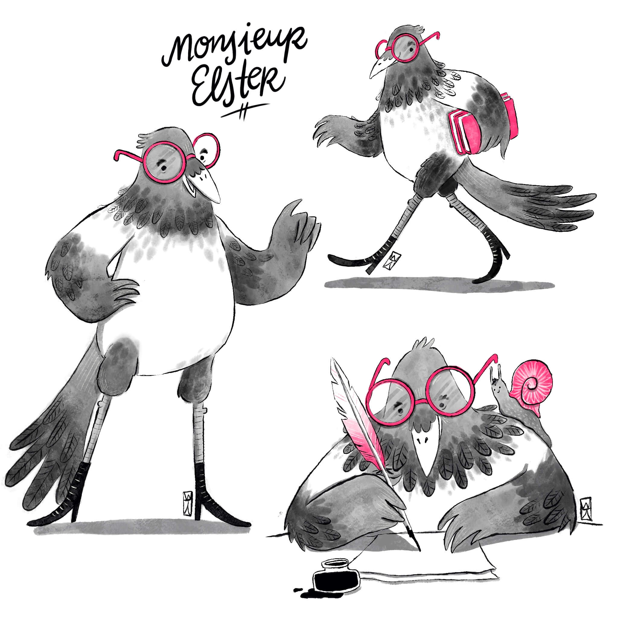 characterdesign sheet of an magpie named mr.elster